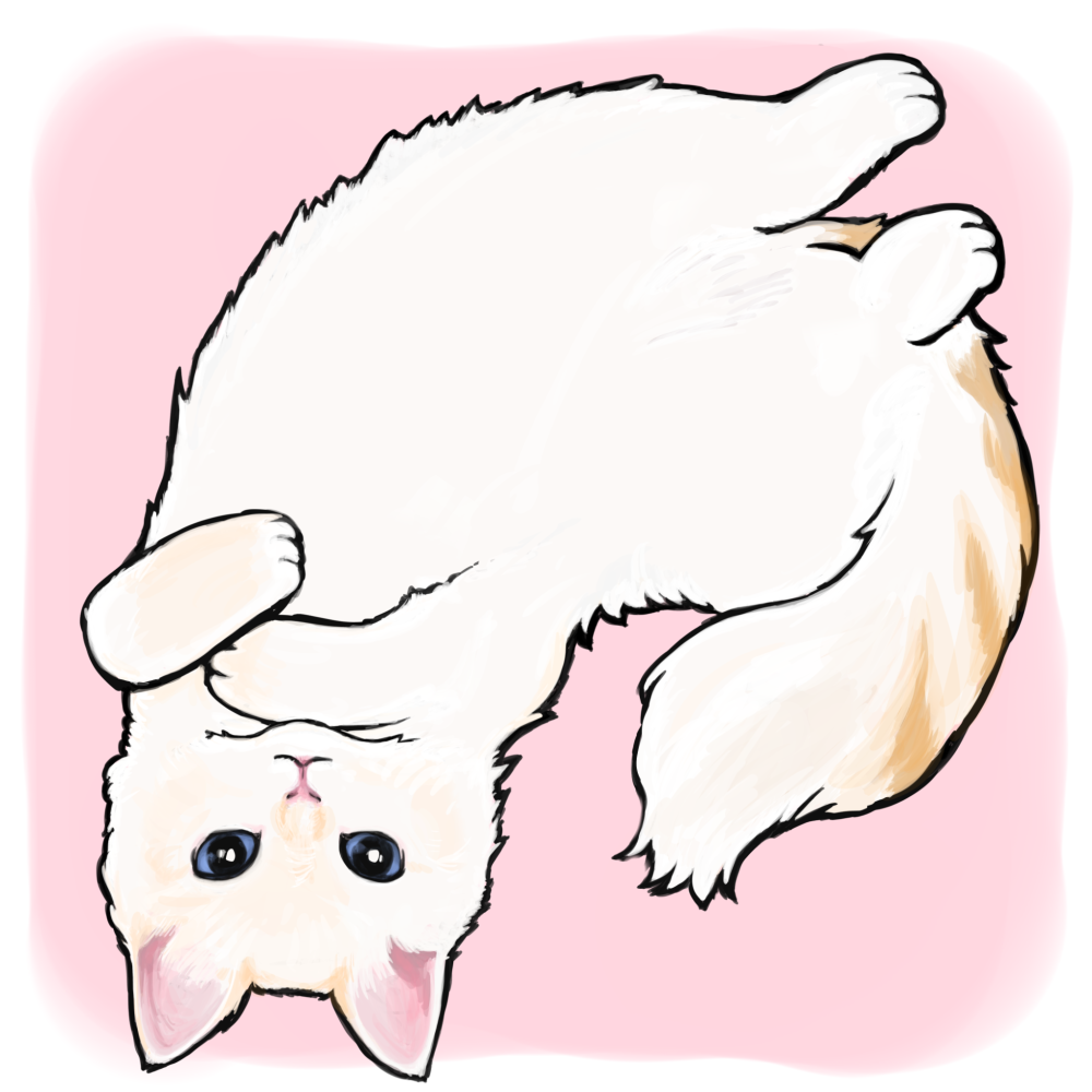 のやま