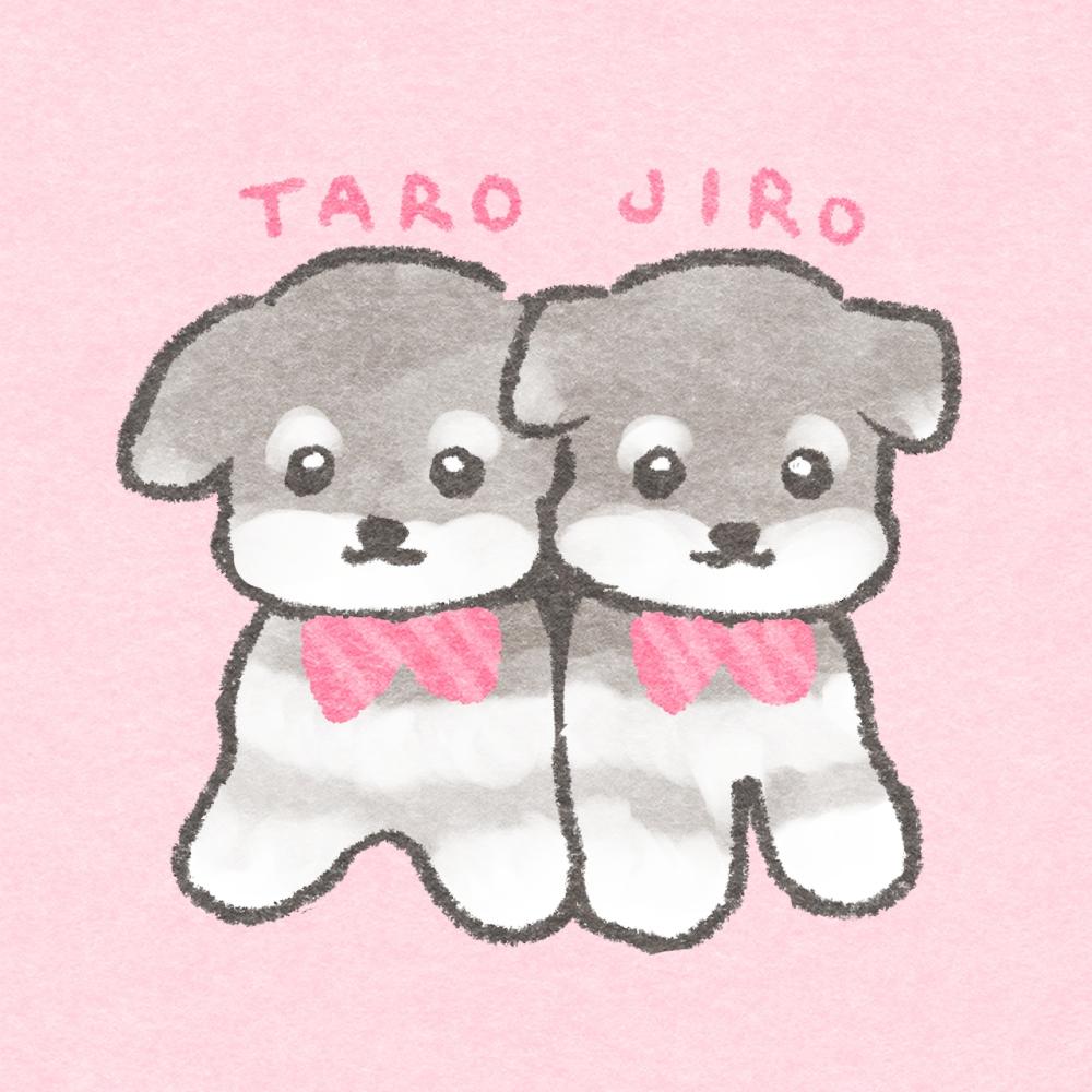 ぽこ