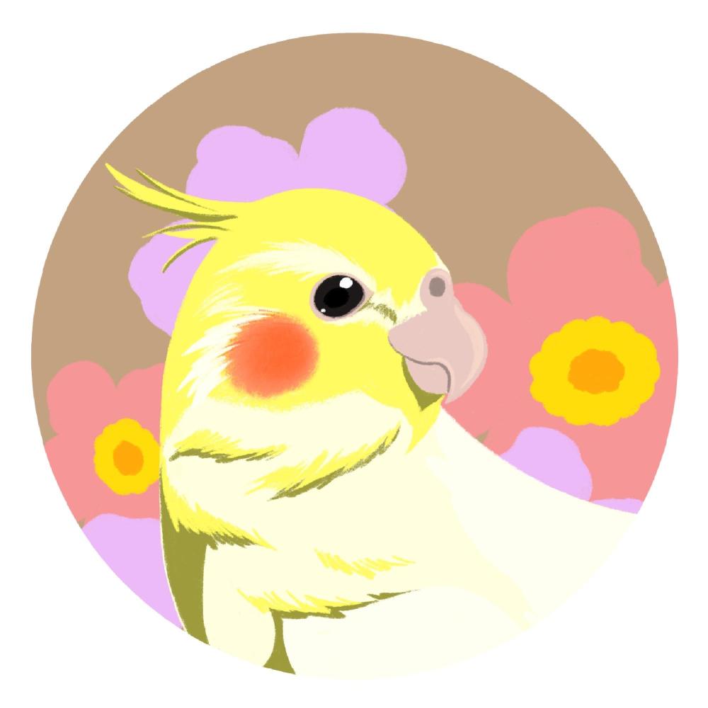 noko